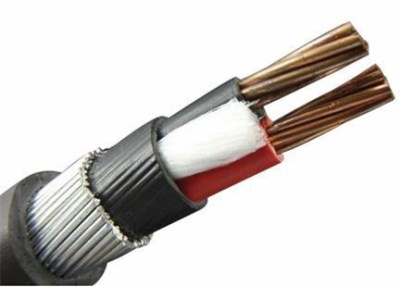 2 core armoured cable 