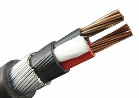 6mm 2 Core SWA Armoured Cable